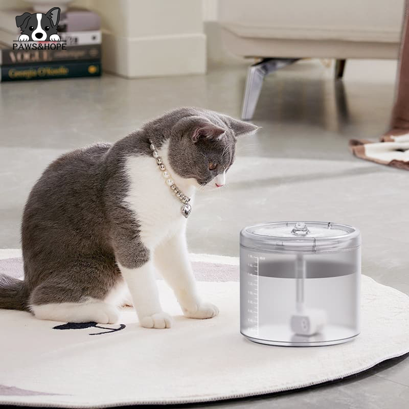 cat food and water dispenser