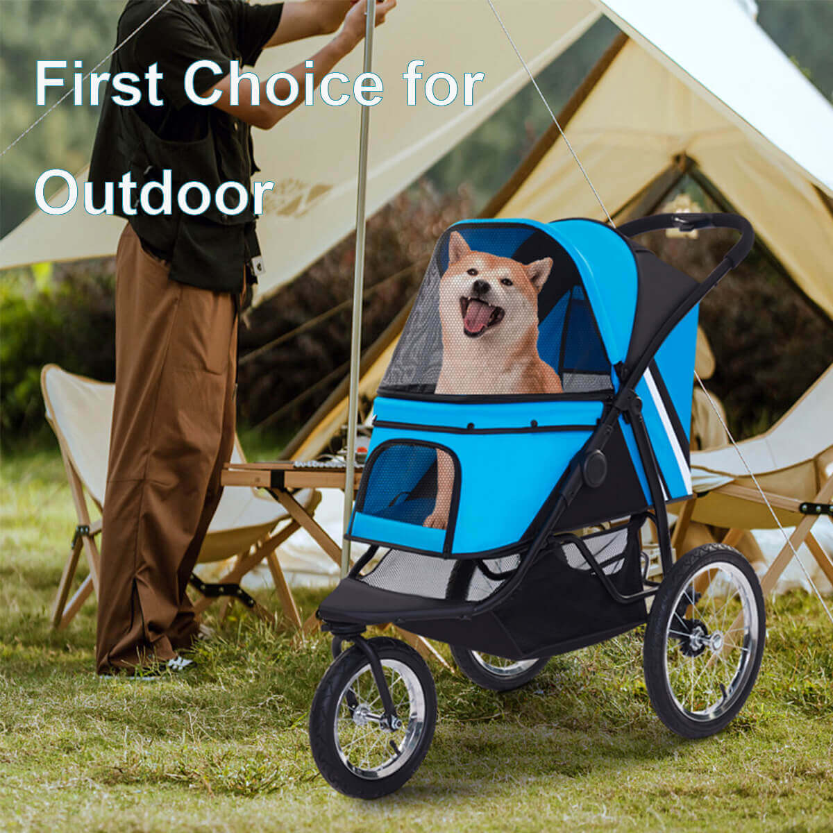 Is it good to put a dog in a stroller?