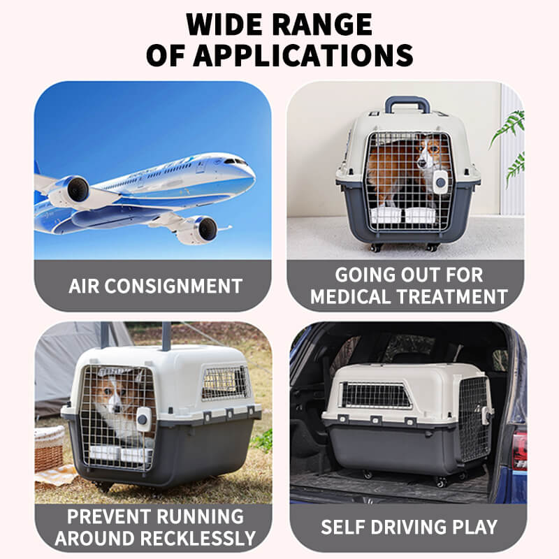 pet carrier